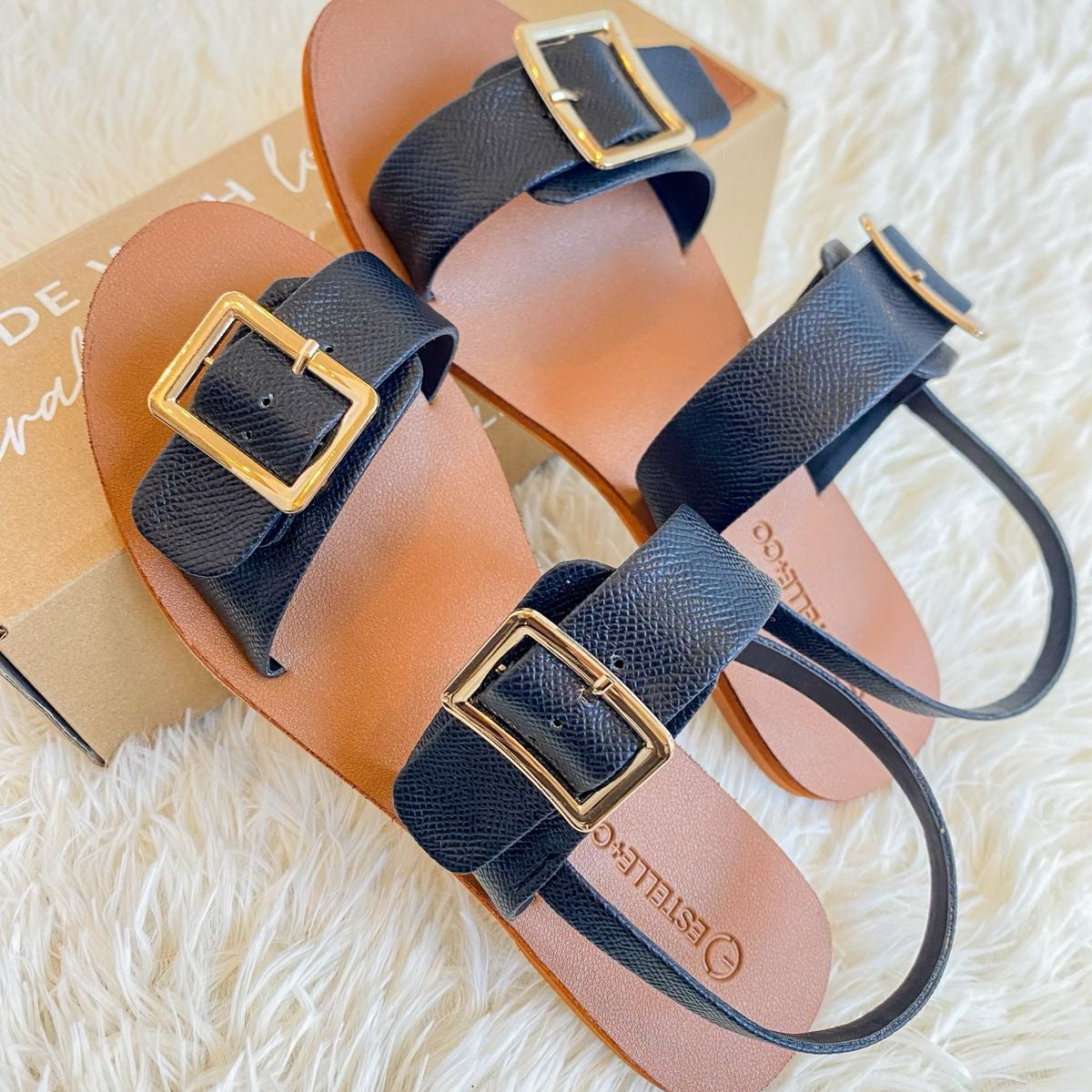 Petra Black
